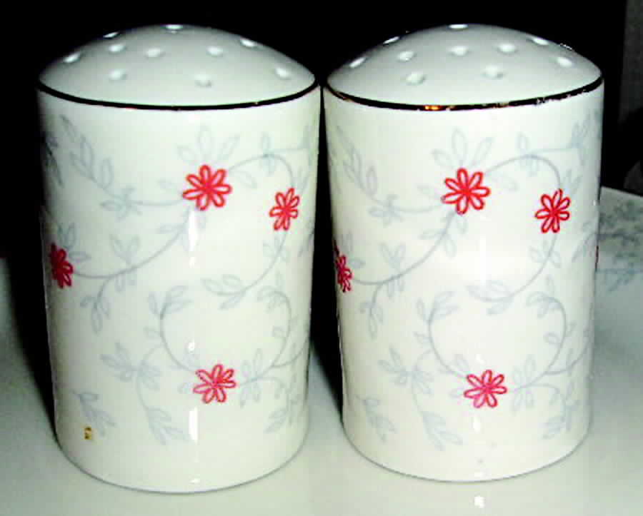 ARZ147 Salt & Pepper Set by Arzberg-1