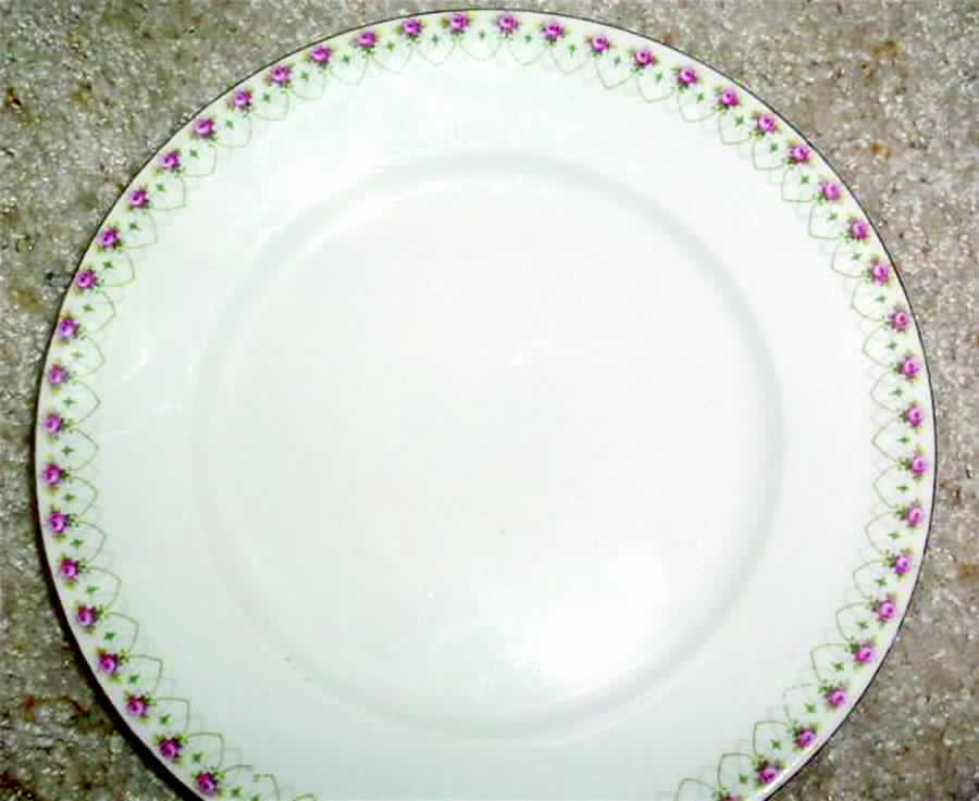 ALT421 Salad Plate by Altrohlau-1