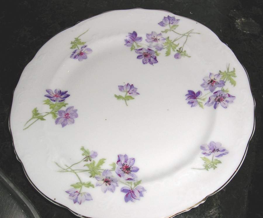 AUS336 Dinner Plate by Austria-1
