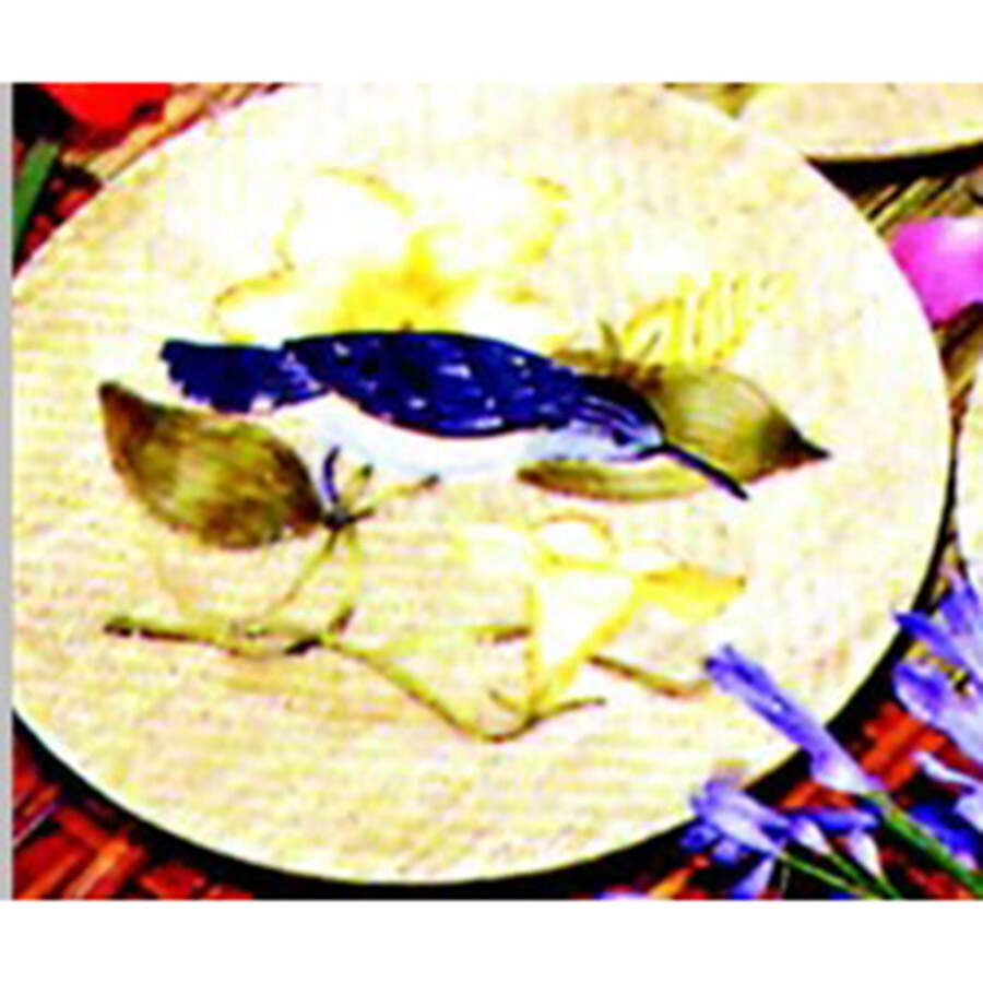 Jungle Birds Salad/Dessert Plate by American Atelier-1