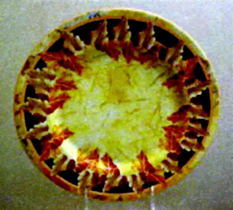 It's Only Natural Leaf Dinner Plate by American Atelier-1