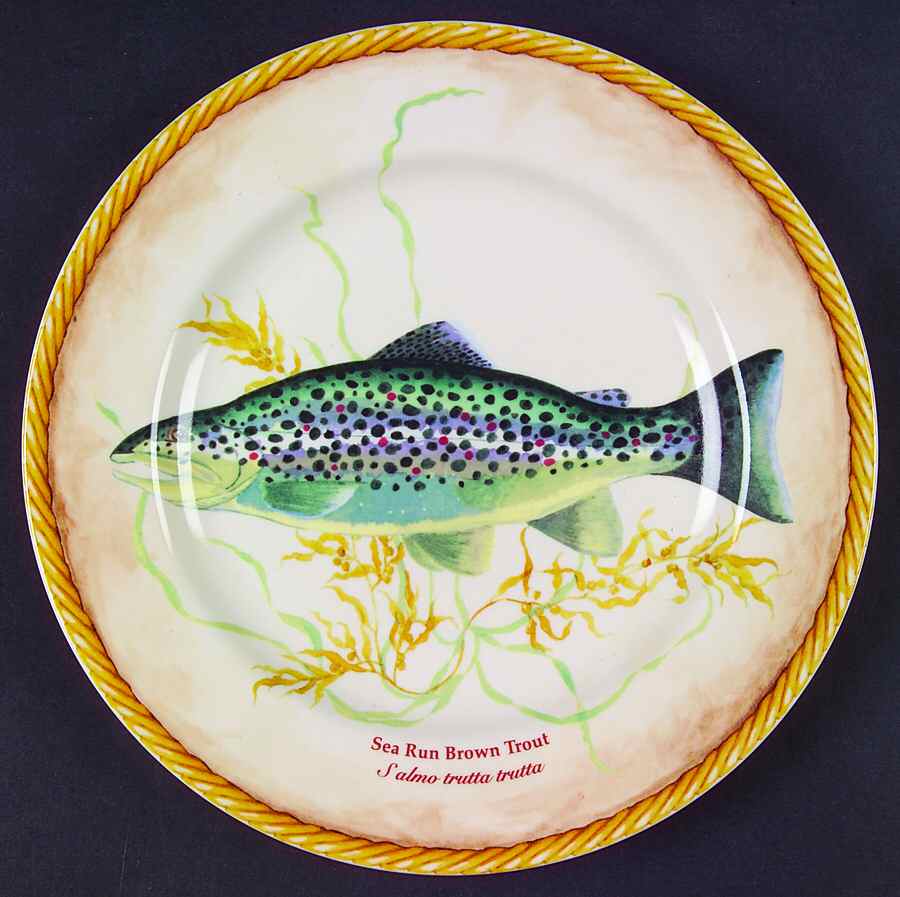 Rainbow River Salad Plate by American Atelier-1