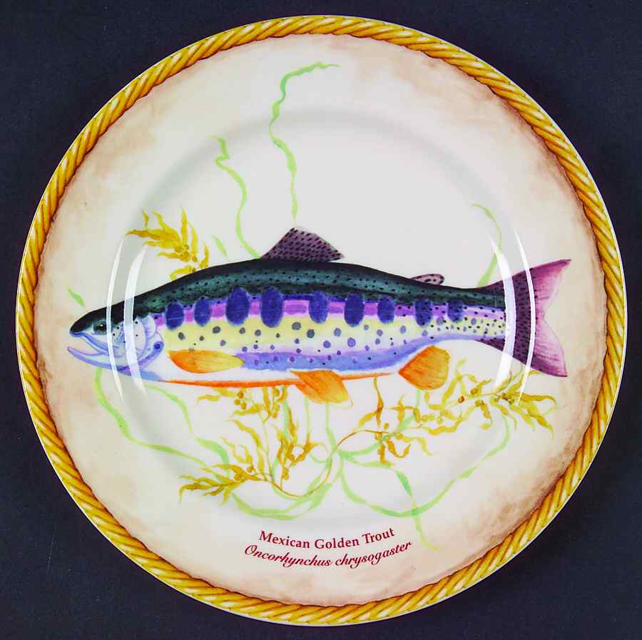 Rainbow River Salad Plate by American Atelier-1