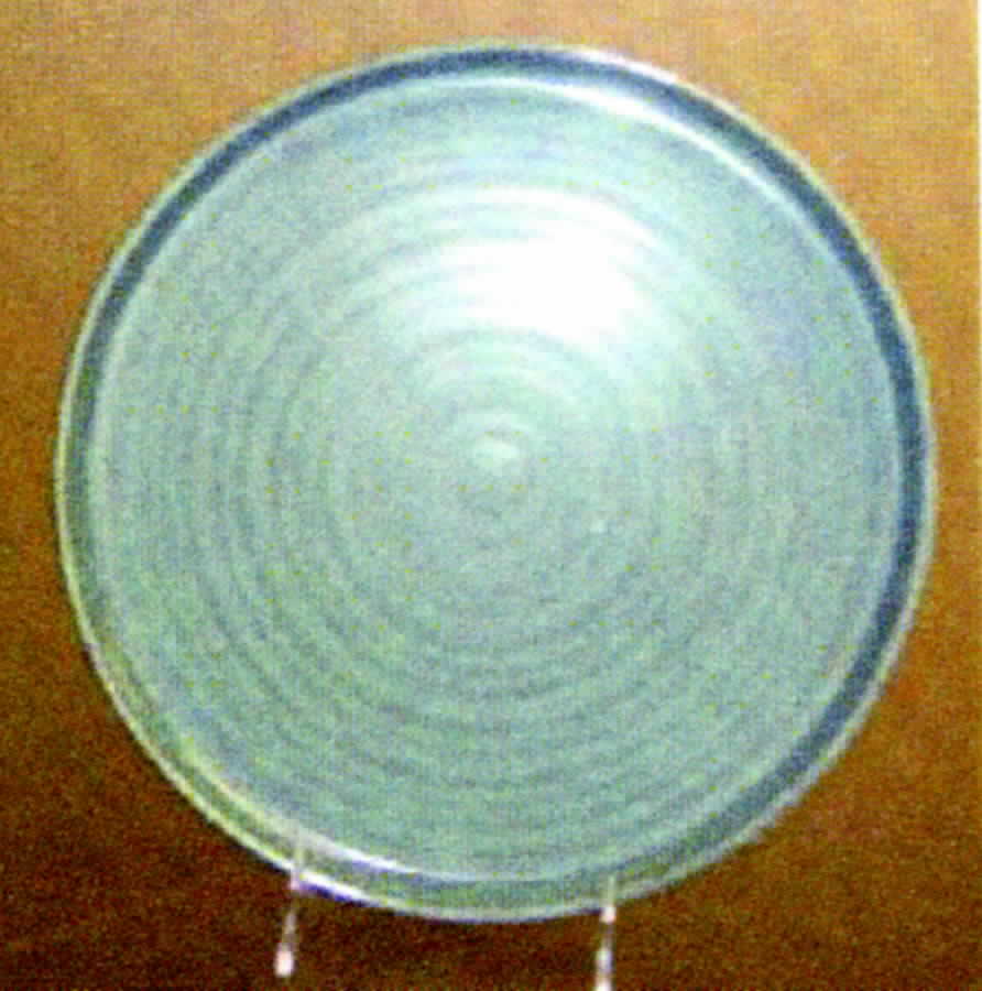 Synergy Green Salad Plate by American Atelier-1