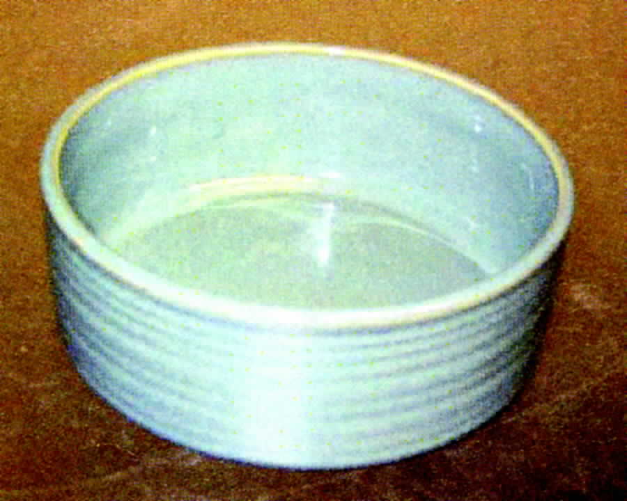 Synergy Green Coupe Soup Bowl by American Atelier-1