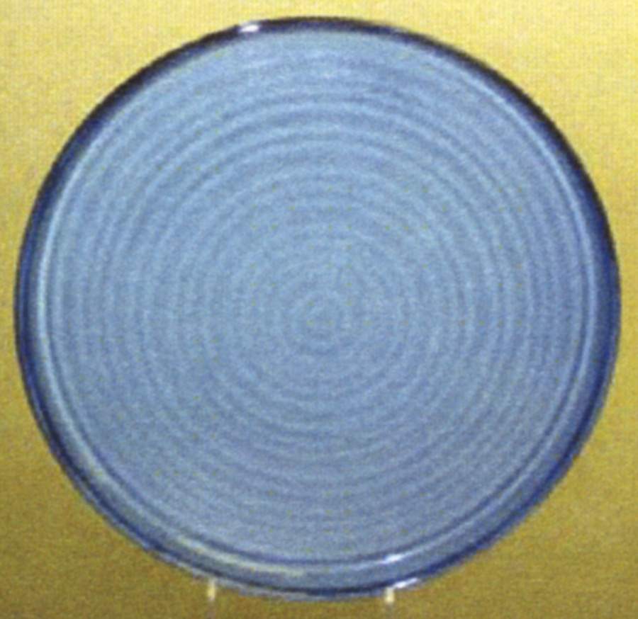 Synergy Blue Salad Plate by American Atelier-1