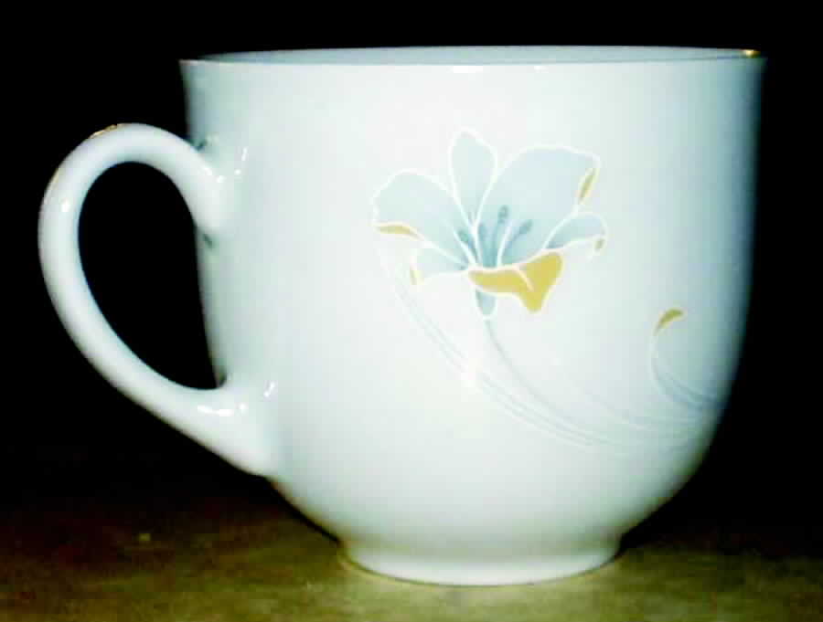 ARZ151 Flat Cup by Arzberg-1
