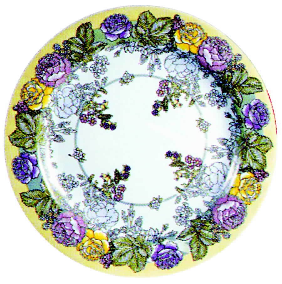Eden Dinner Plate by Arcopal-1