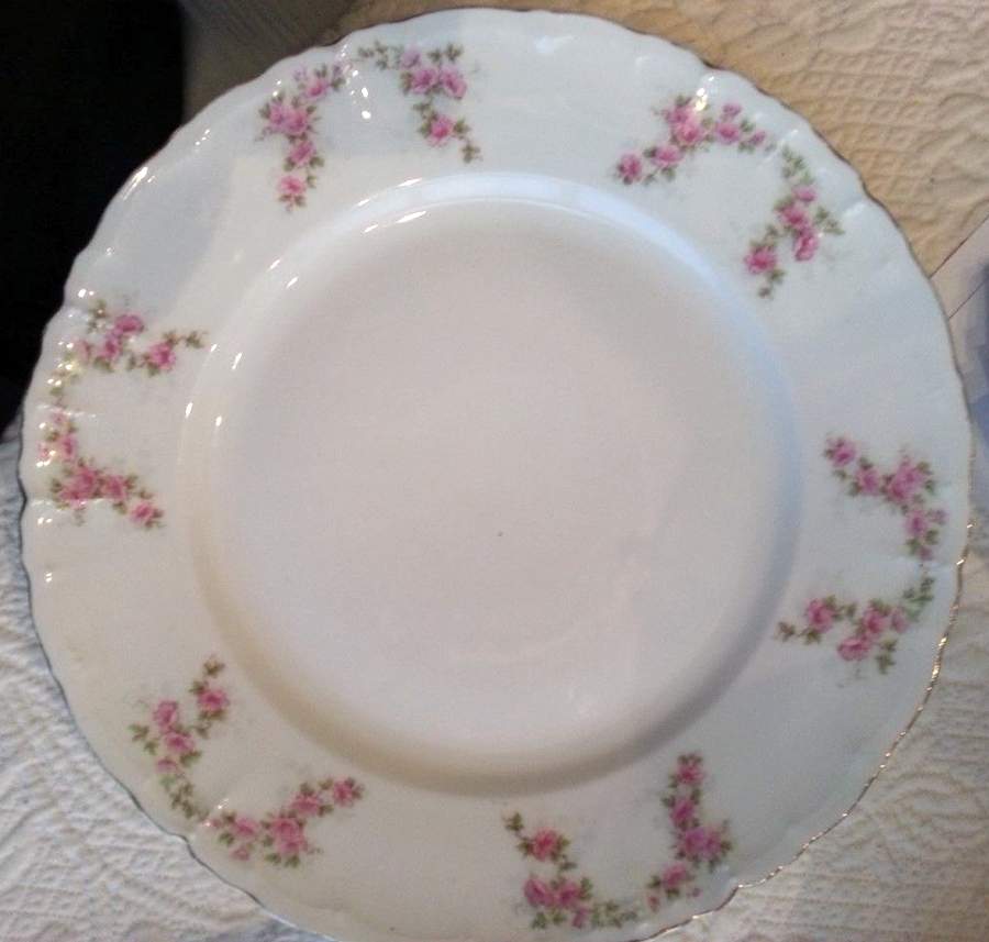 ALT426 Dinner Plate by Altrohlau-1