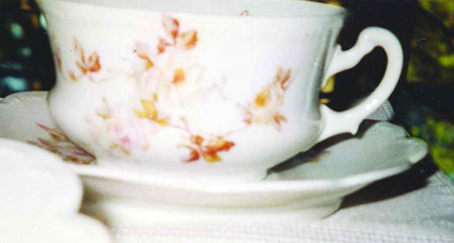 AUS337 Flat Cup & Saucer Set by Austria-1