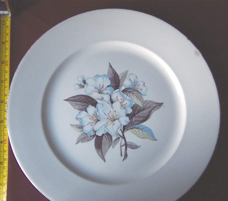 AXD8 Dinner Plate by S Alexander-1