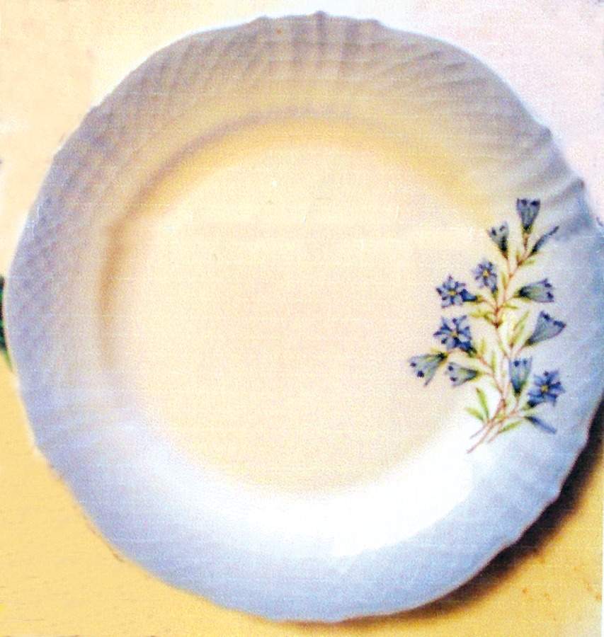 The Enchanted Blue Flowers of Copenhagen Dessert/Pie Plate by Aston Westwood-1