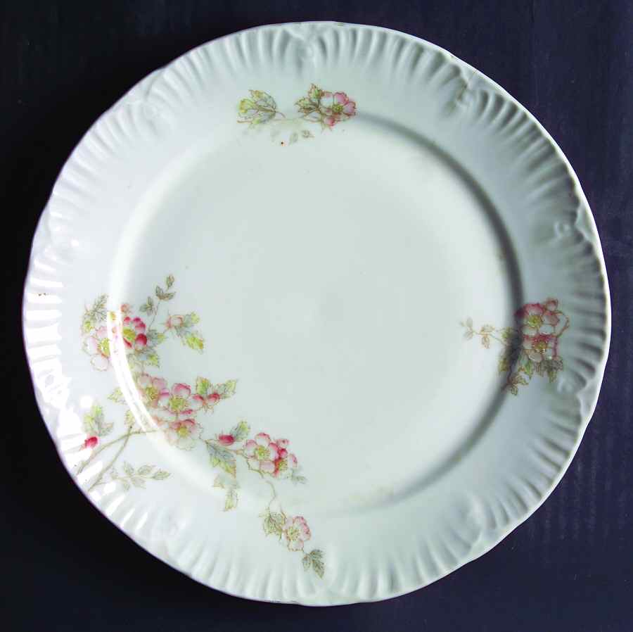 ALT434 Dinner Plate by Altrohlau-1