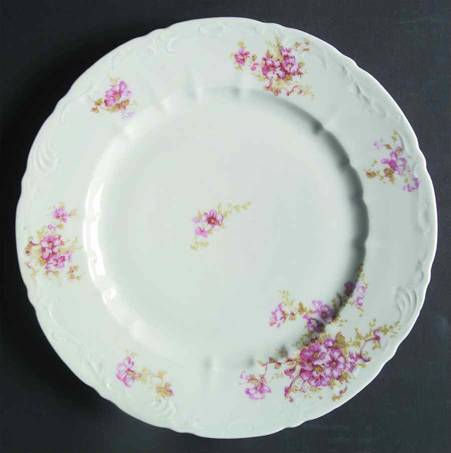 AUS341 Dinner Plate by Austria-1
