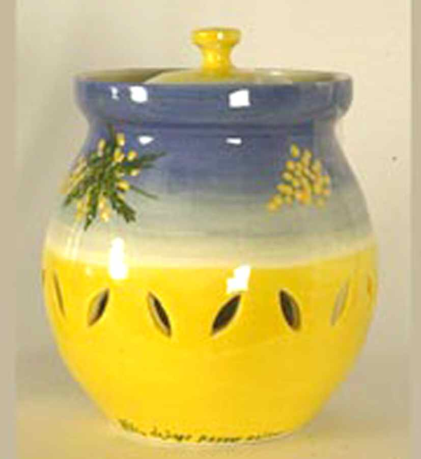 Mimosa Garlic Keeper & Lid by Atelier Du Sage-1