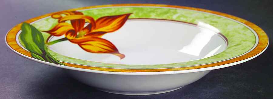 Emily Large Rim Soup Bowl by 222 Fifth (PTS)-1