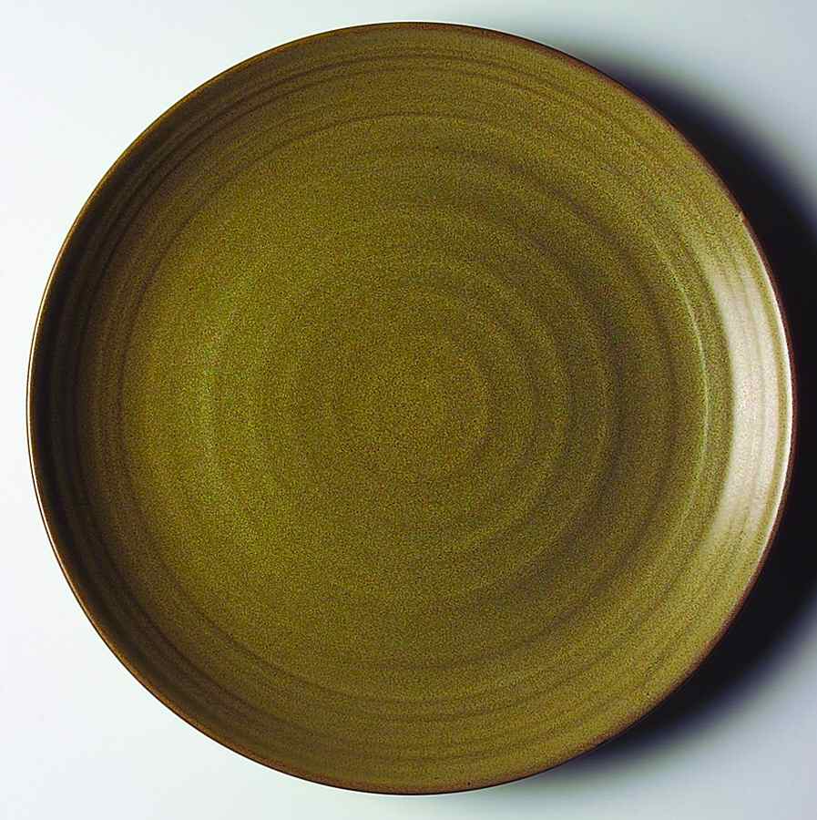 Studio Khaki Dinner Plate by 222 Fifth (PTS)-1