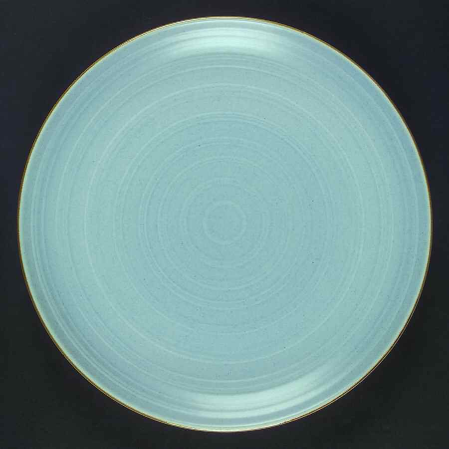 Studio Powder Blue Dinner Plate by 222 Fifth (PTS)-1