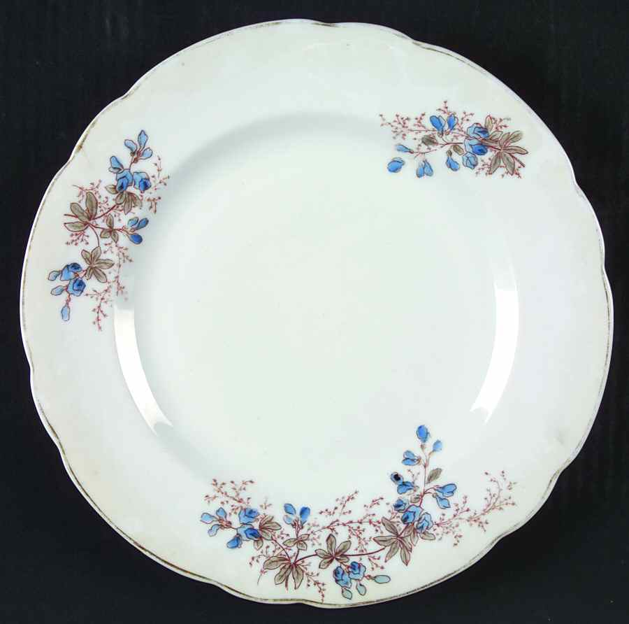 AUS347 Dinner Plate by Austria-1