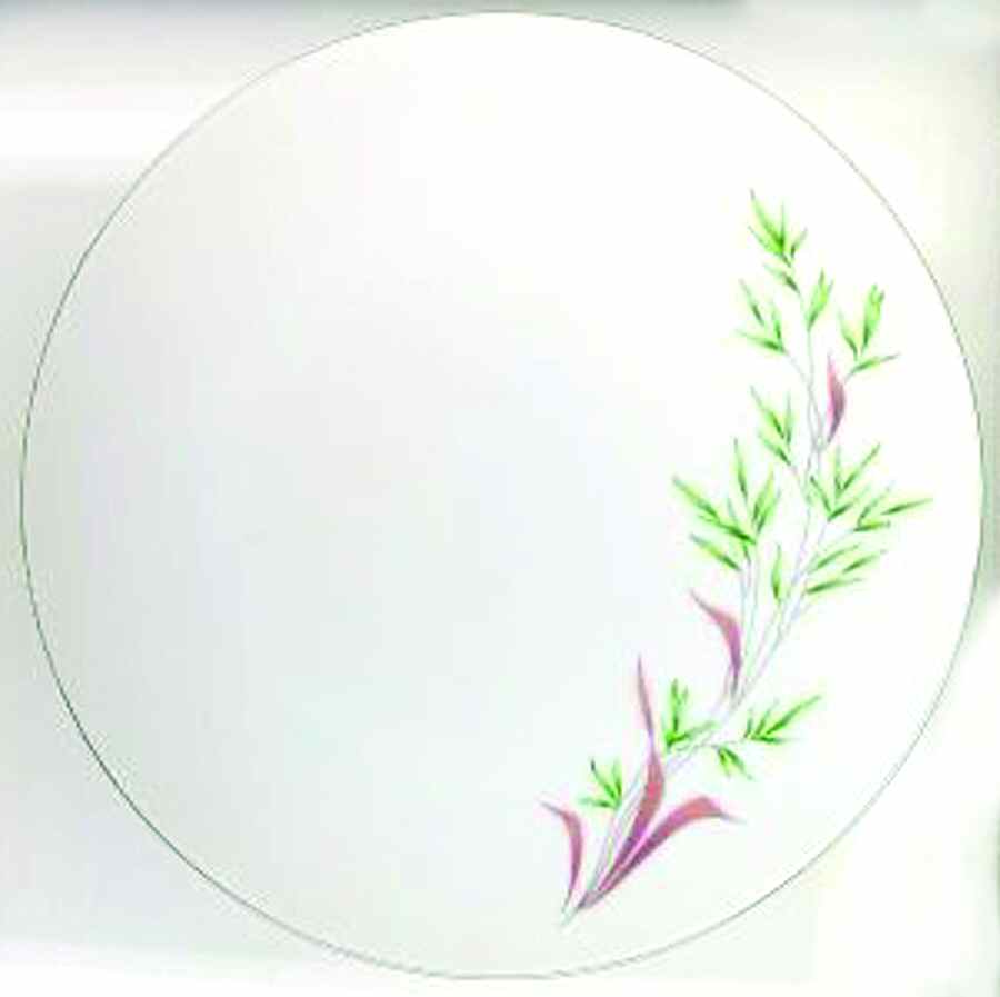 ARZ164 Dinner Plate by Arzberg-1