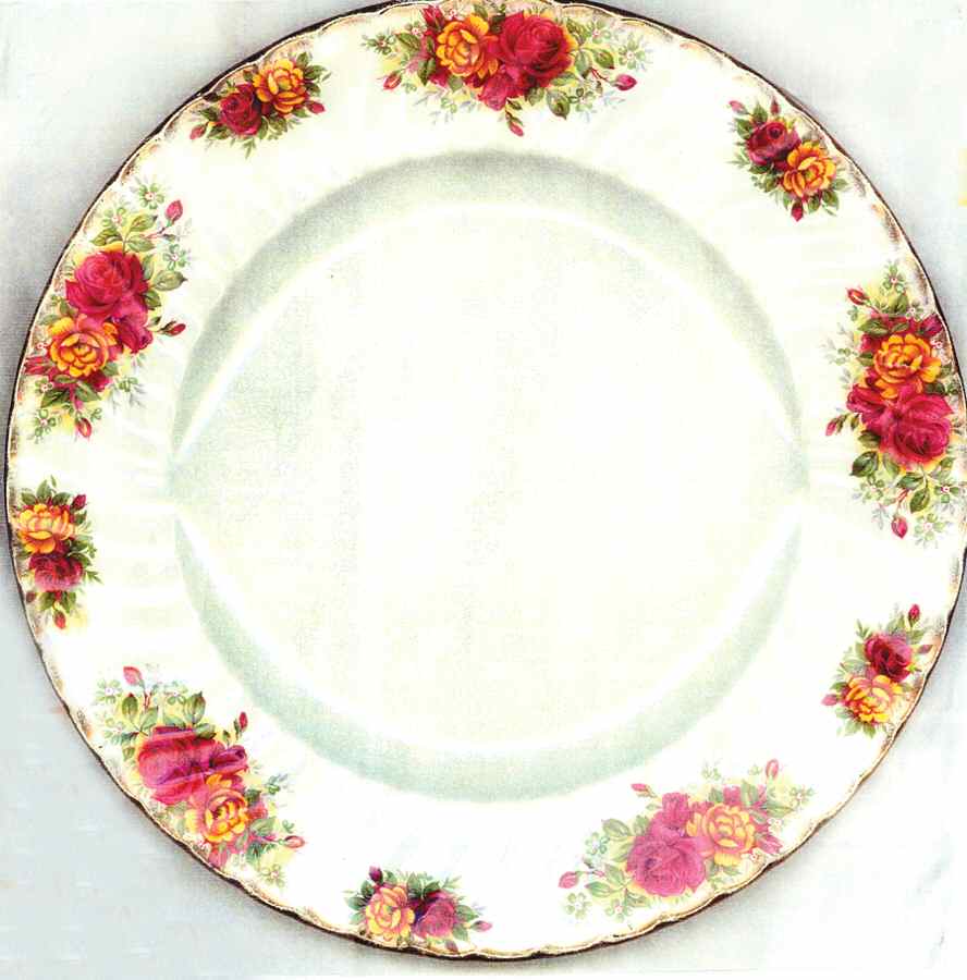 AYN149 Dinner Plate by John  Aynsley & Sons-1