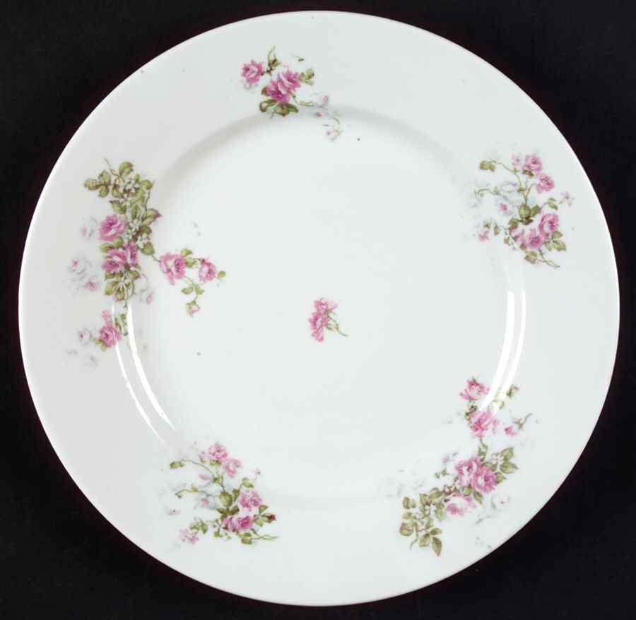 AUS350 Dinner Plate by Austria-1