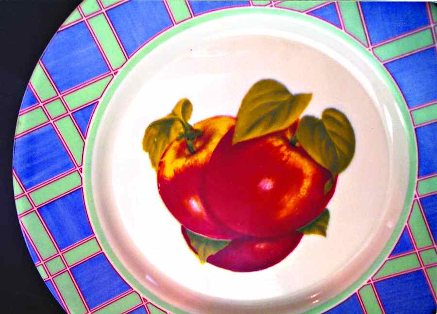 ARP39 Dinner Plate by Arcopal-1