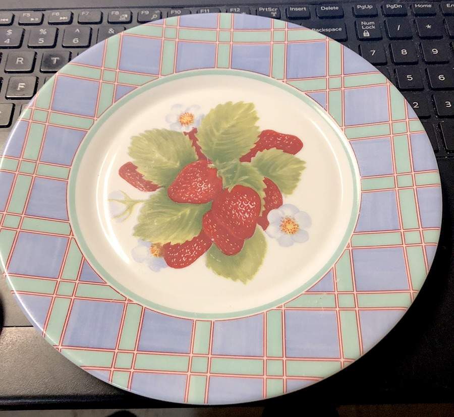 ARP39 Dinner Plate by Arcopal-1
