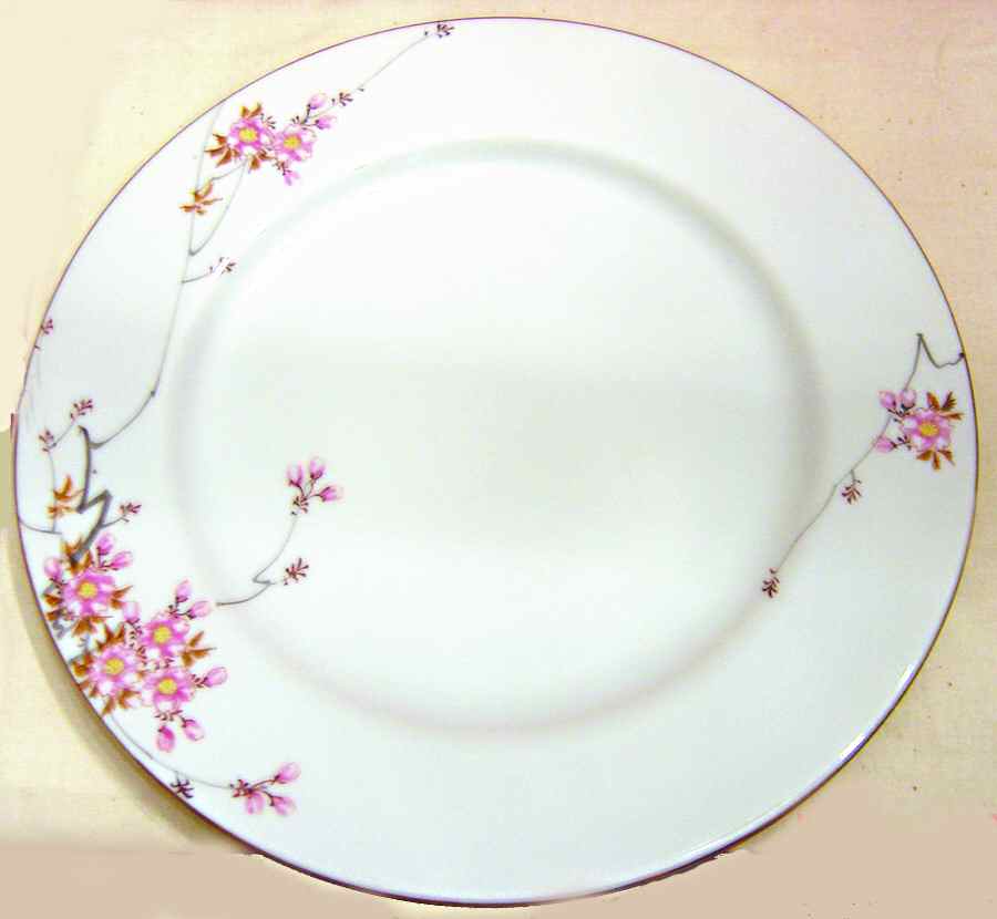 ADT1 Dinner Plate by Asada Art China-1