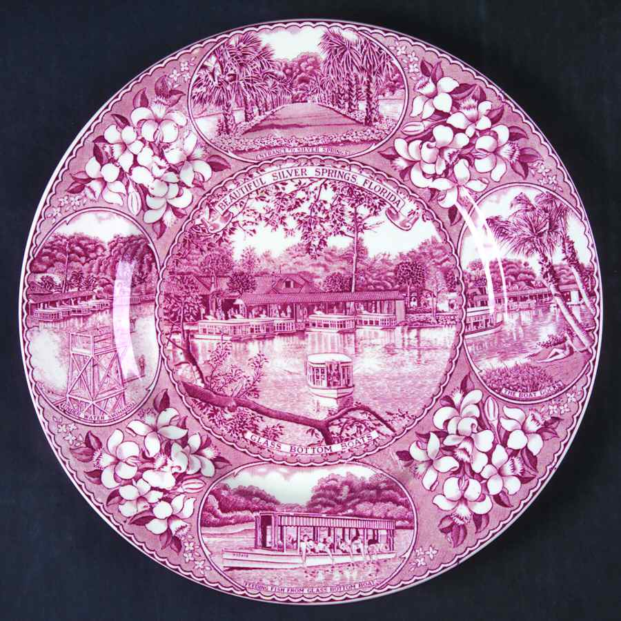 Silver Springs, Florida Pink Dinner Plate by Adams China-1
