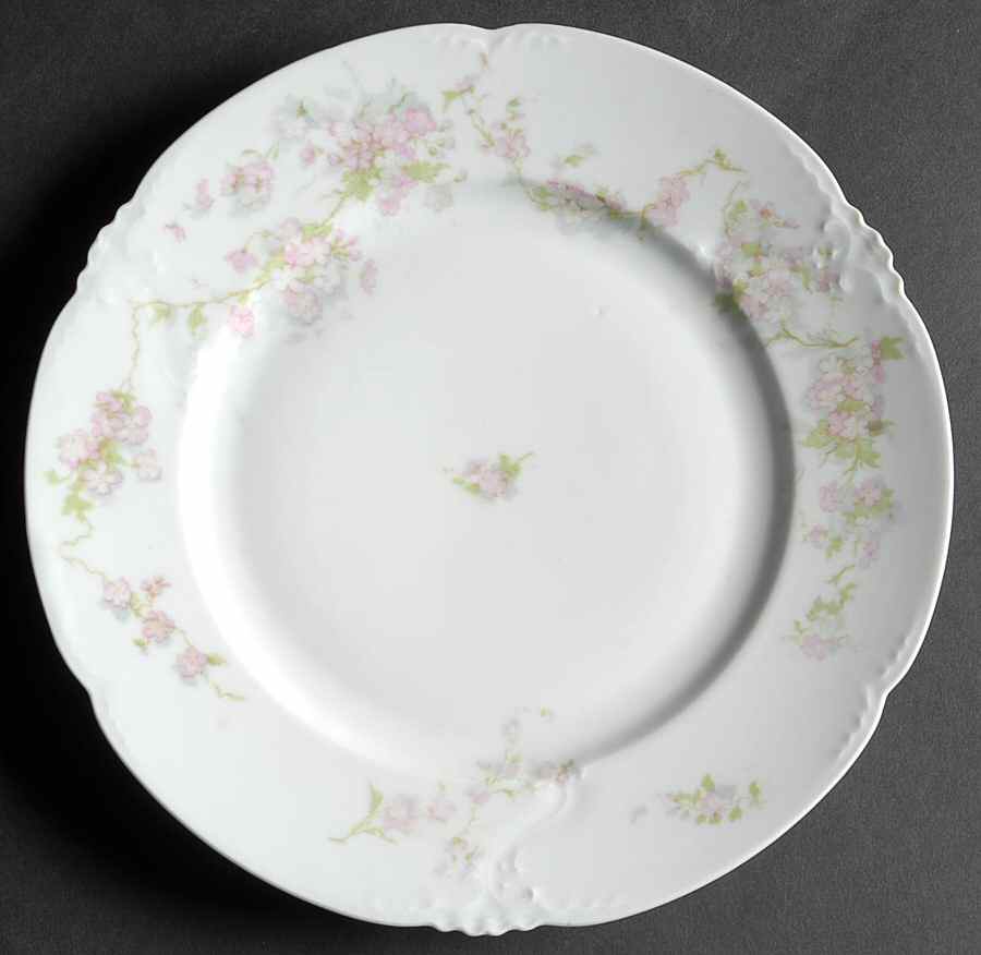AUS357 Dinner Plate by Austria-1
