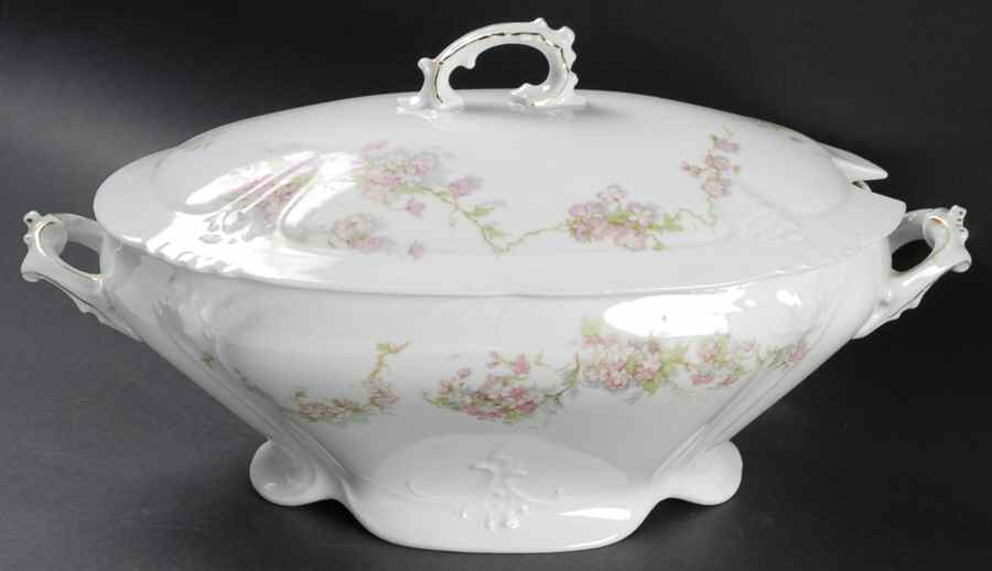 AUS357 Oval Tureen & Lid by Austria-1