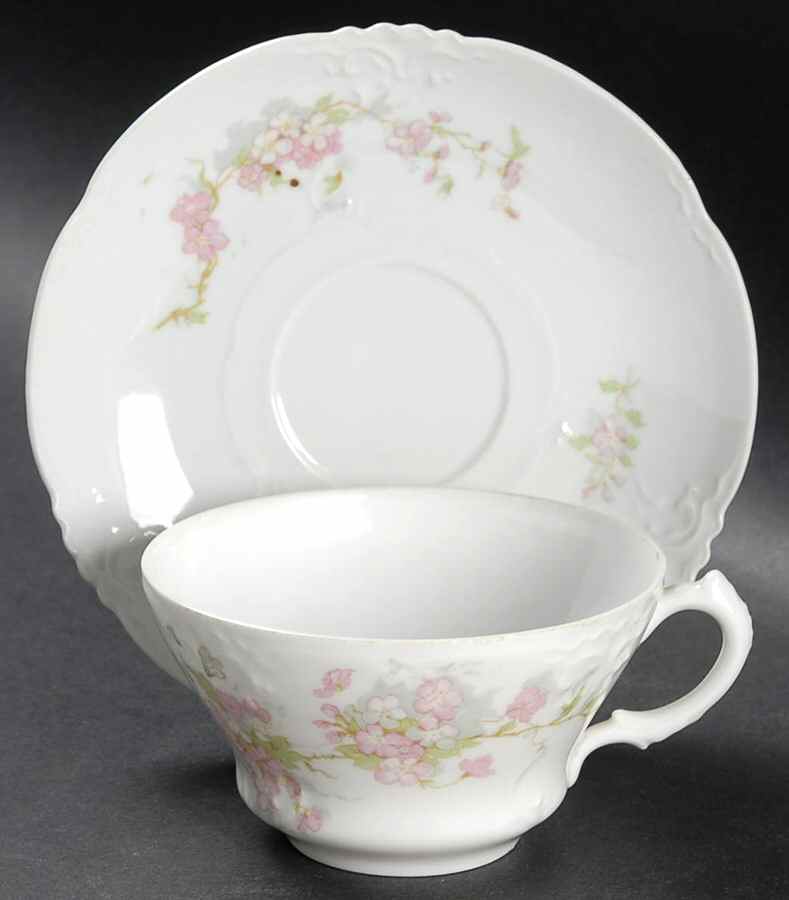 AUS357 Flat Cup & Saucer Set by Austria-1
