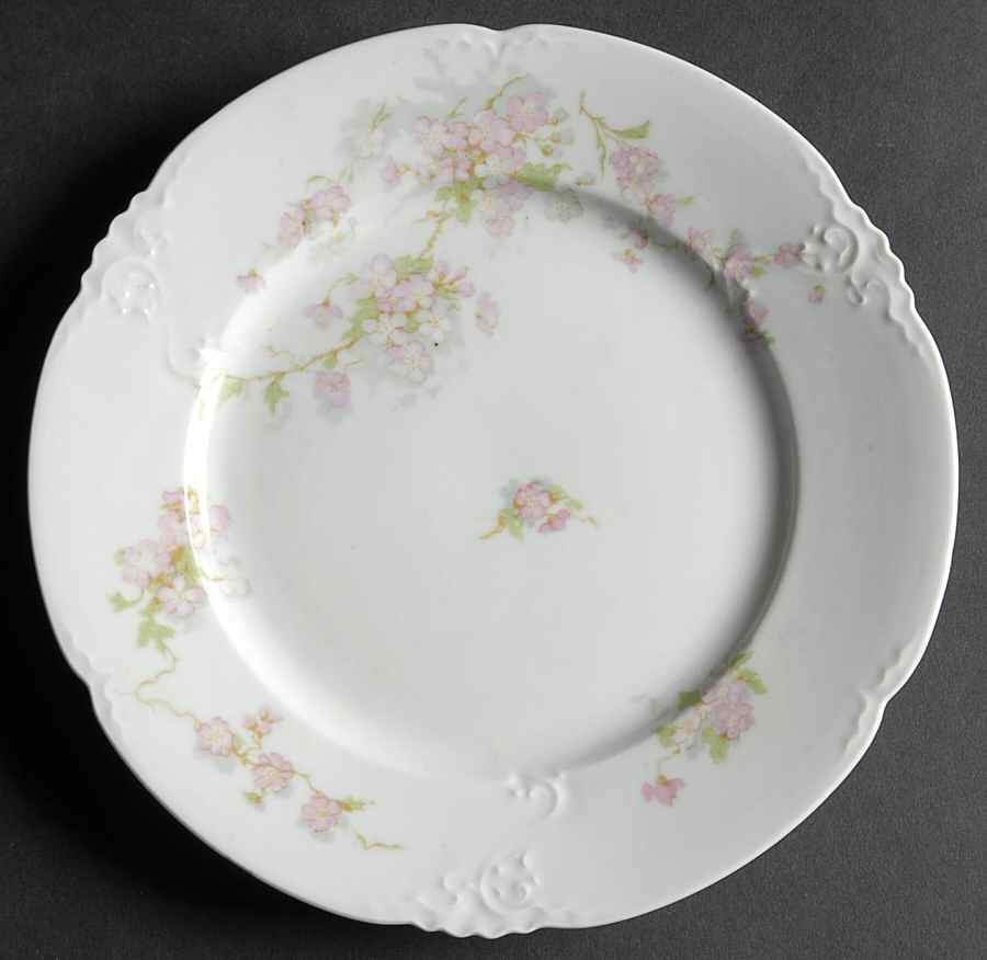 AUS357 Salad Plate by Austria-1