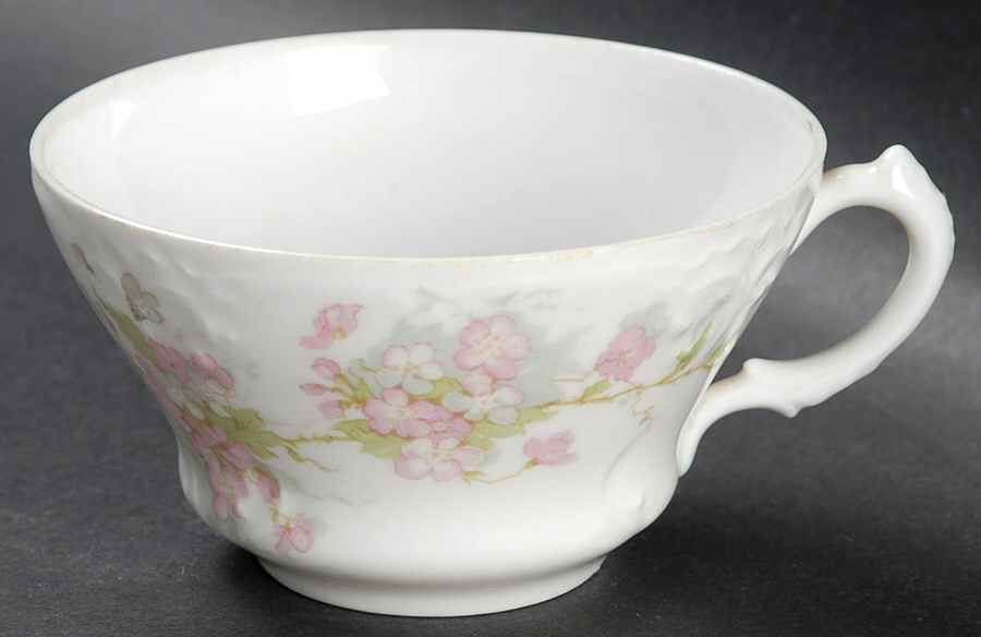 AUS357 Flat Cup by Austria-1