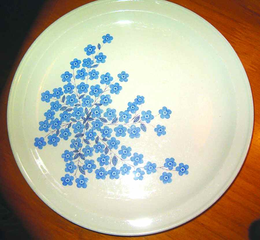 ARA120 Dinner Plate by Arabia of Finland-1