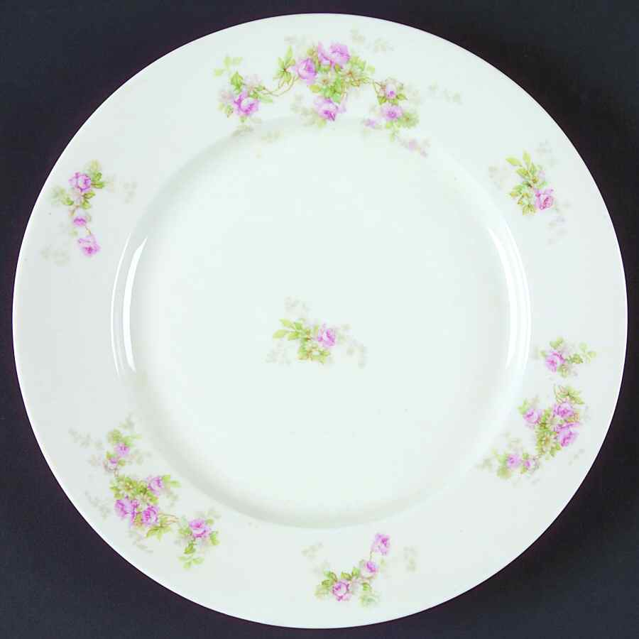 ALT477 Dinner Plate by Altrohlau-1
