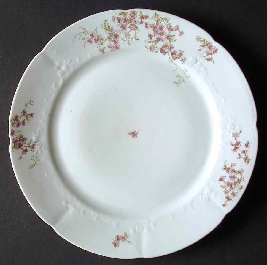 AUS364 Dinner Plate by Austria-1