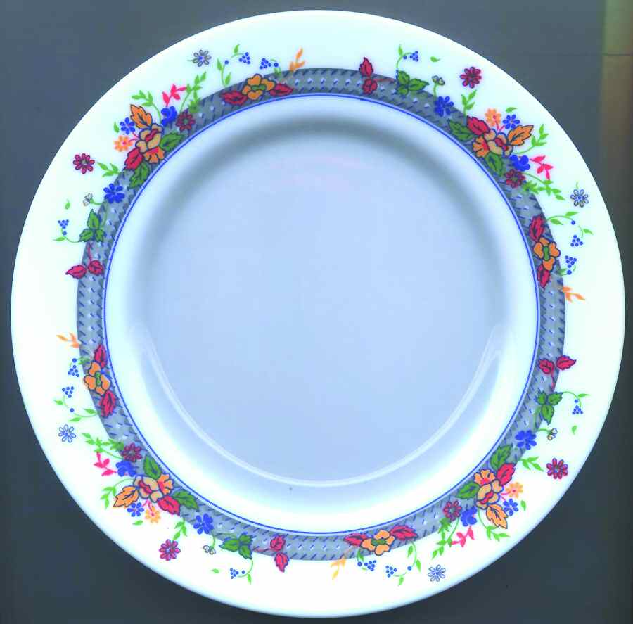 ARP41 Salad Plate by Arcopal-1