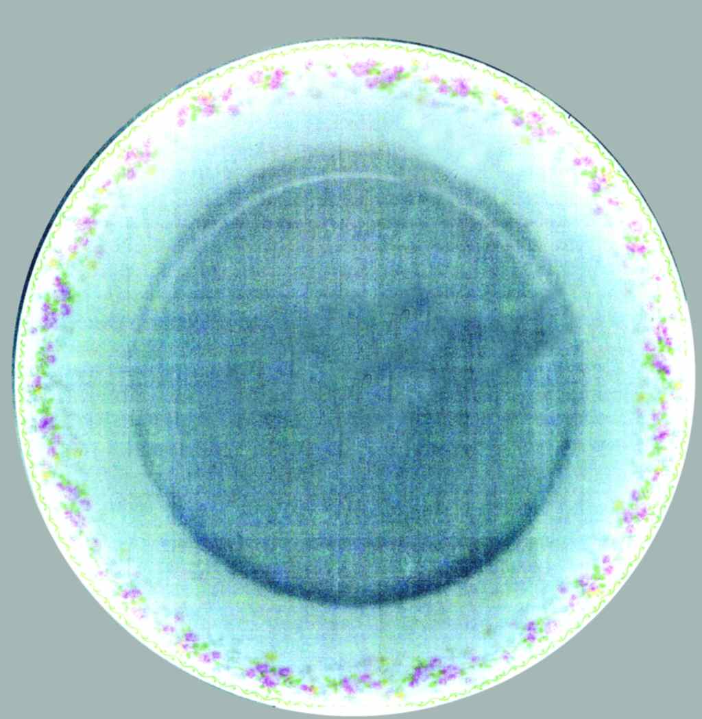 AHR711 Dinner Plate by Charles Ahrenfeldt-1