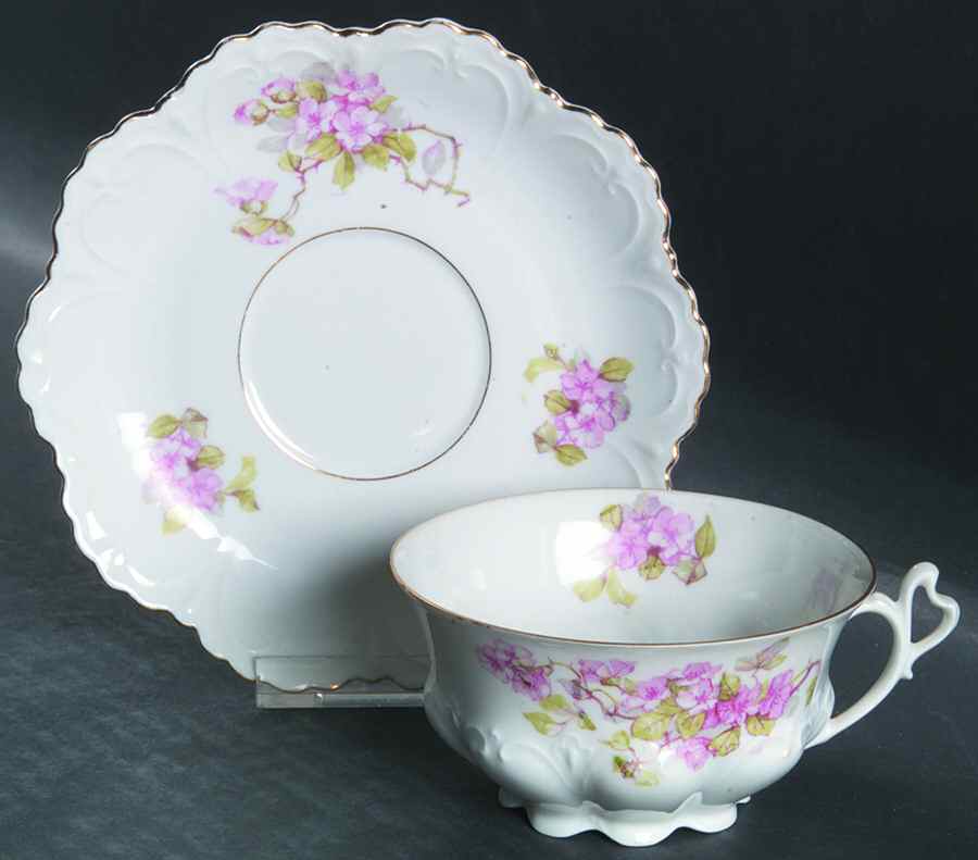 ALT485 Footed Cup & Saucer Set by Altrohlau-1