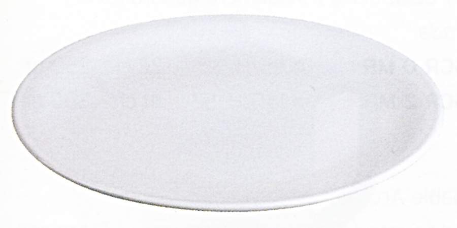 Martinique Dinner Plate by Apilco-1