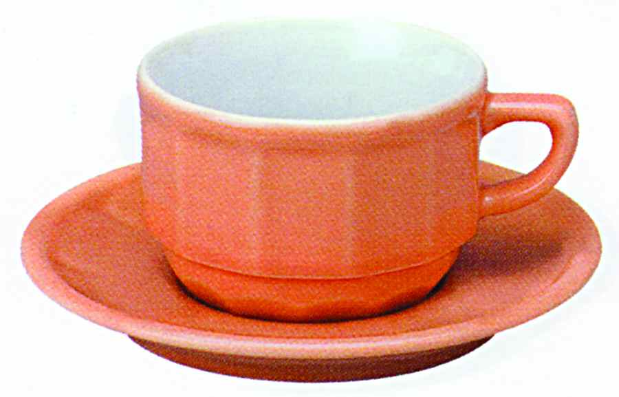 Flora Peach (No Trim) Flat Cup & Saucer Set by Apilco-1