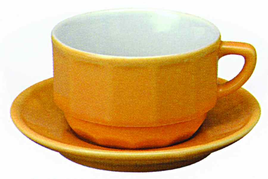 Flora Yellow (No Trim) Flat Cup & Saucer Set by Apilco-1