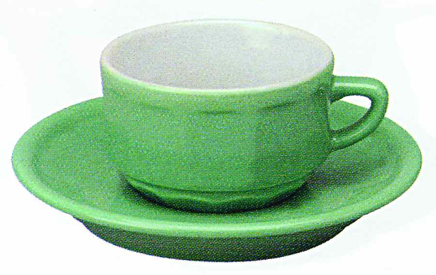 Flora Light Green (No Trim) Flat Cup & Saucer Set by Apilco-1