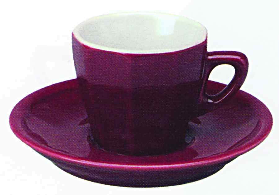 Flora Maroon Flat Cup & Saucer Set by Apilco-1