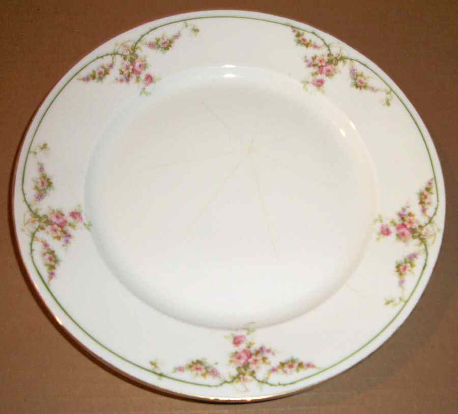 A8602 Dinner Plate by Altrohlau-1