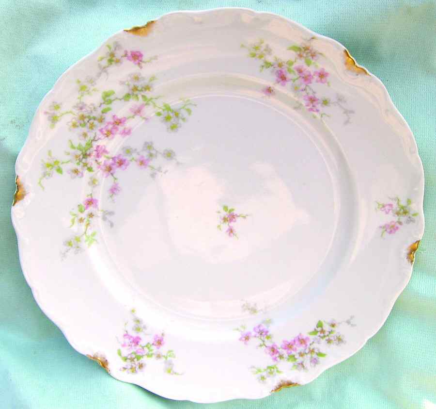 AHR723 Dinner Plate by Charles Ahrenfeldt-1