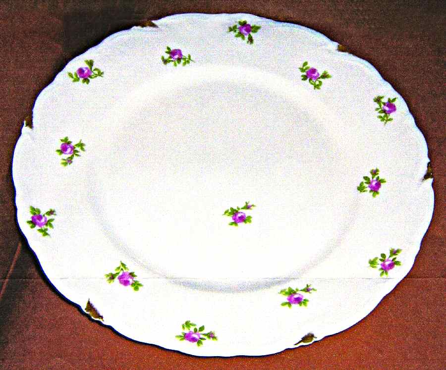 AHR724 Dinner Plate by Charles Ahrenfeldt-1