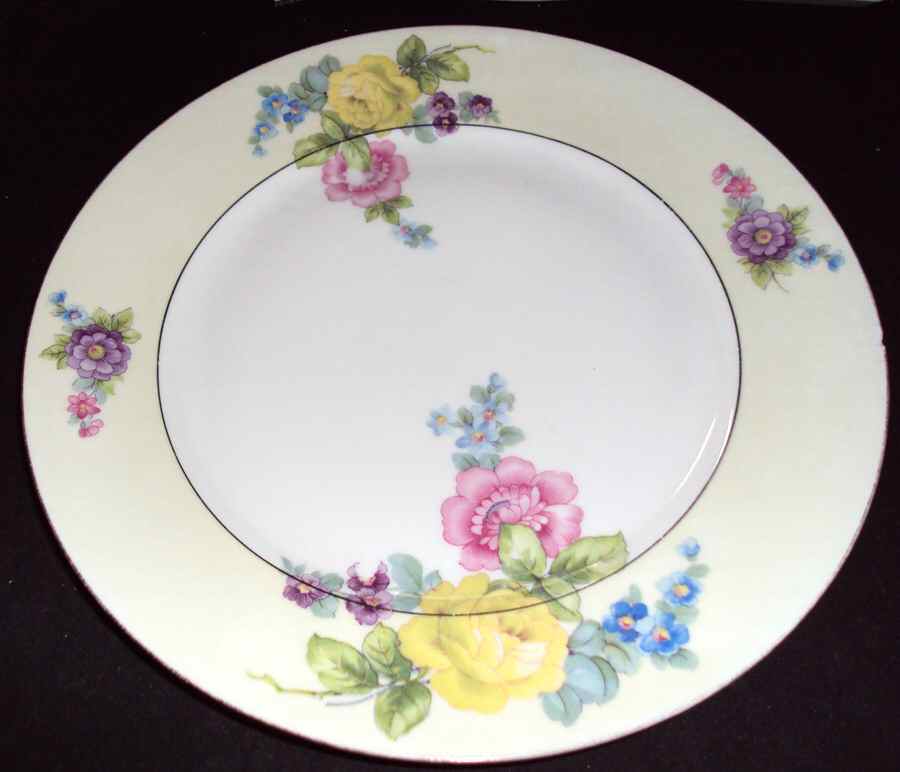 AIH13 Dinner Plate by AICH (Czech)-1